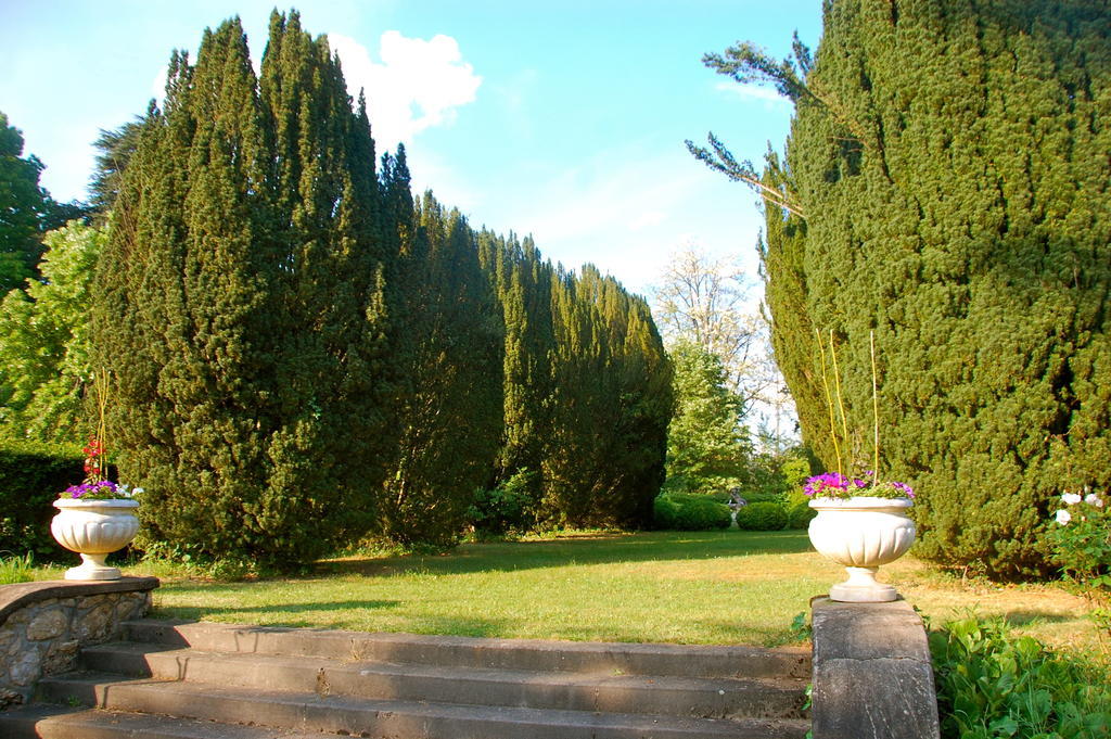 לינה וארוחת בוקר Luzech Domaine Le Peyrou מראה חיצוני תמונה