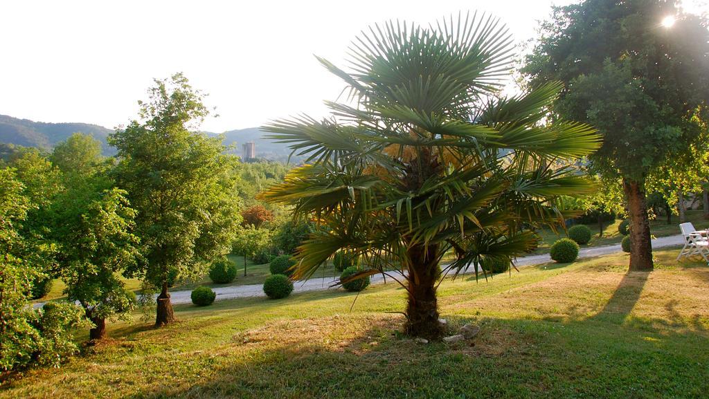 לינה וארוחת בוקר Luzech Domaine Le Peyrou מראה חיצוני תמונה